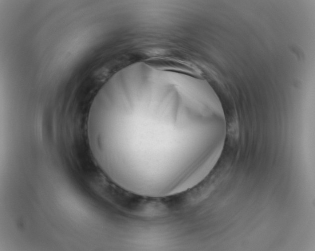 X0000113610572200910091544