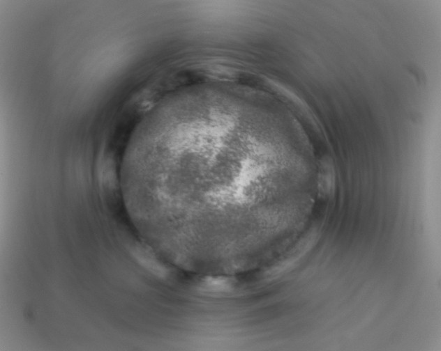 X0000113610573200910091544