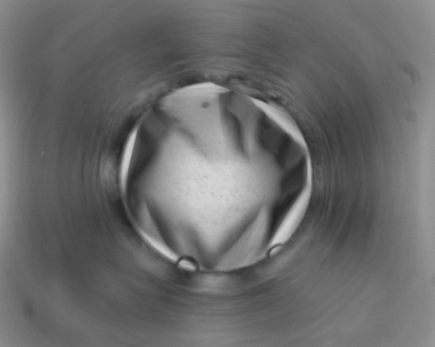 X0000113610575200910091544