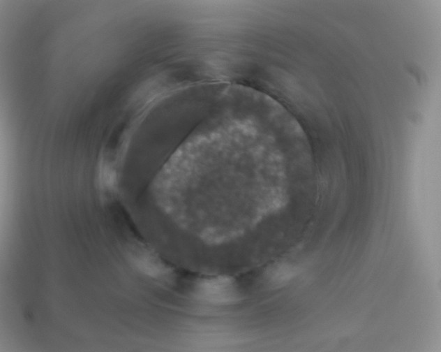 X0000113610576200910091544