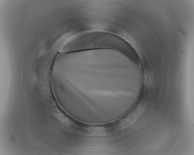 X0000113610577200910091543