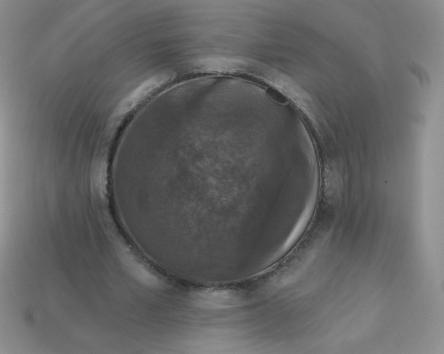 X0000113610581200910091543