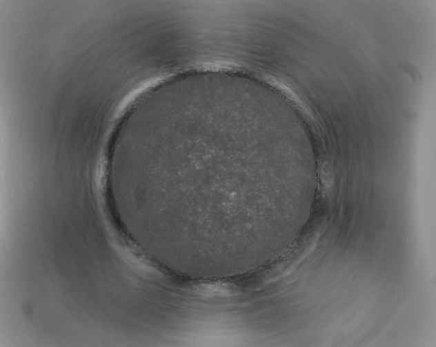 X0000113610583200910091543