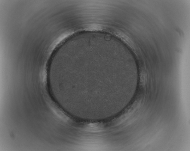 X0000113610584200910091543