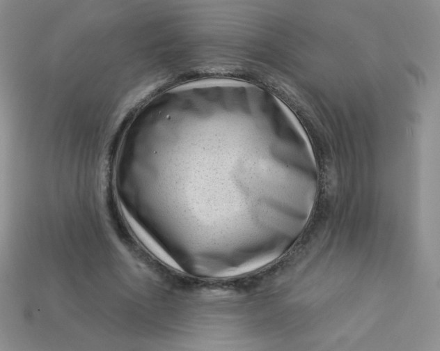 X0000113610586200910091543