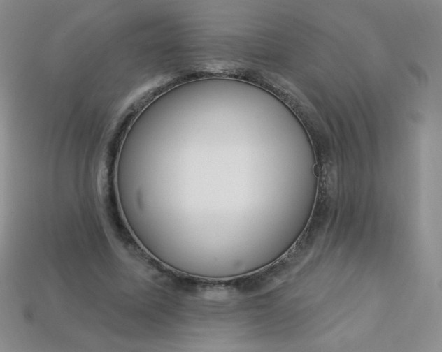 X0000113610587200910091543