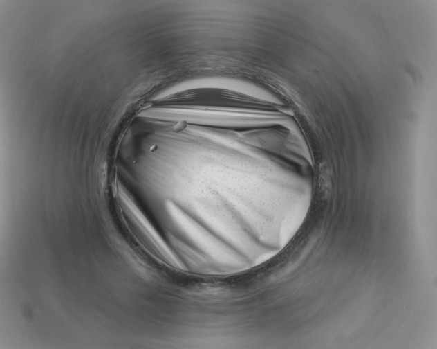 X0000113610589200910091543