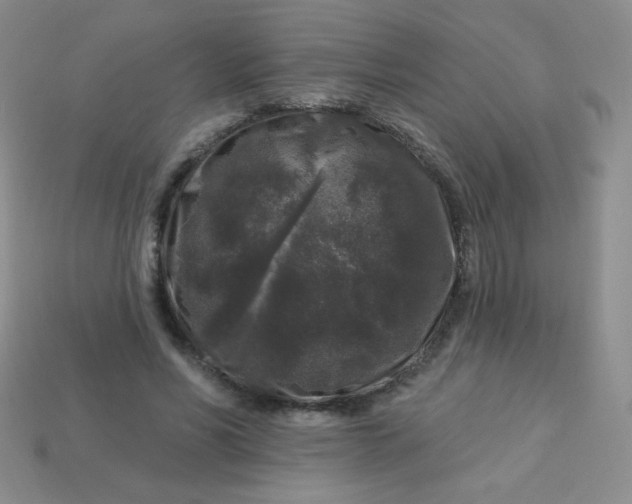 X0000113610590200910091543