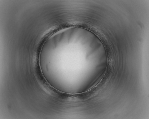 X0000113610591200910091543