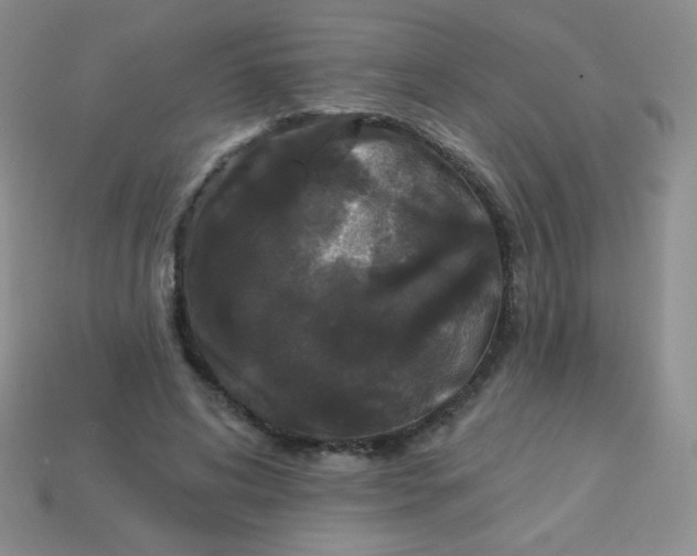 X0000113610592200910091543