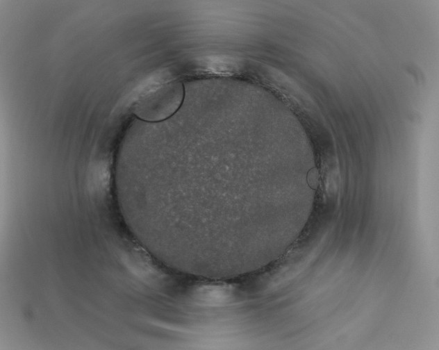 X0000113610595200910091543