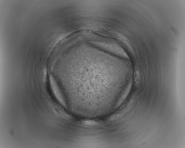 X0000113610596200910091543