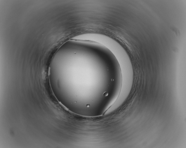 X0000113610597200910091543