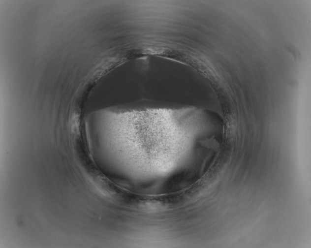 X0000113610598200910091543