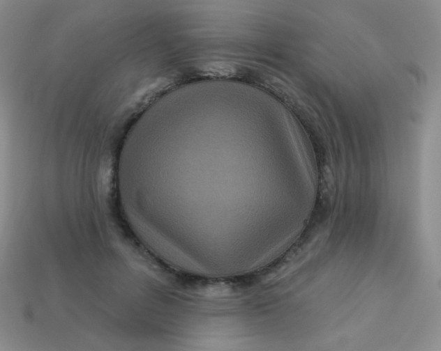 X0000113610600200910091543