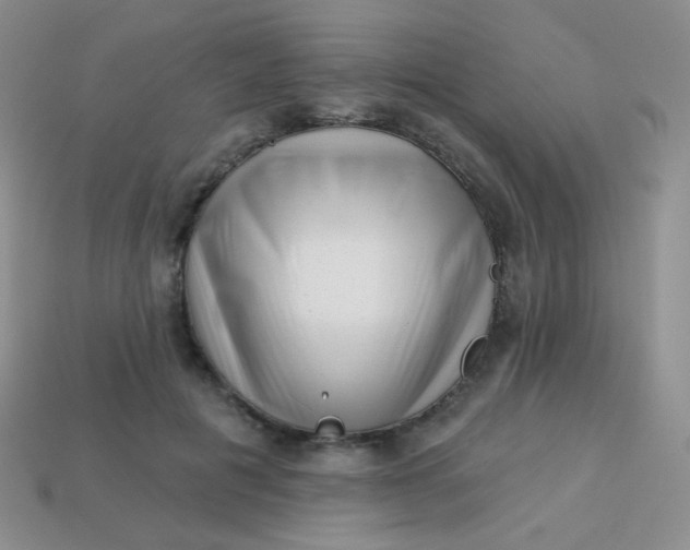 X0000113610601200910091543