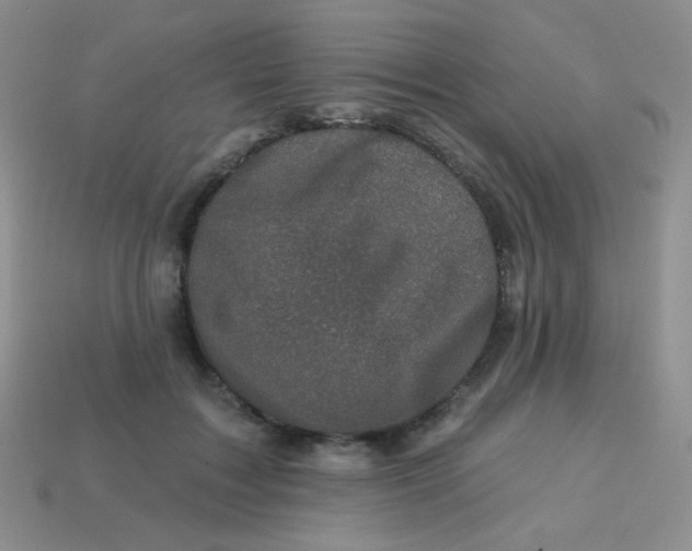 X0000113610603200910091543