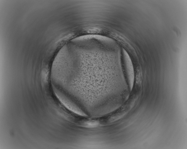 X0000113610604200910091543