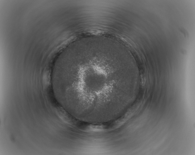 X0000113610606200910091543