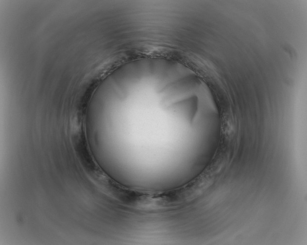 X0000113610607200910091543