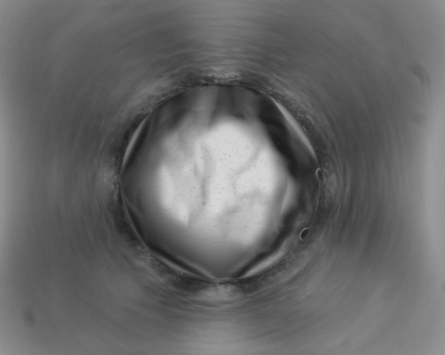 X0000113610609200910091543