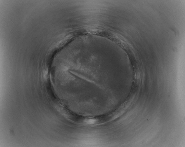 X0000113610610200910091543