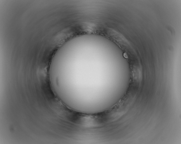 X0000113610611200910091543