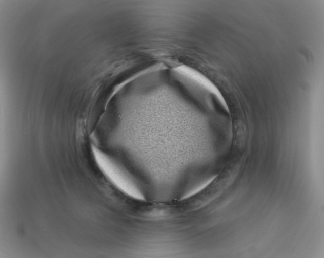 X0000113610612200910091543