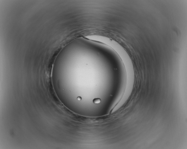 X0000113610613200910091543