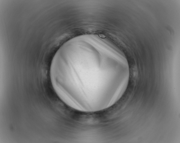 X0000113610615200910091543