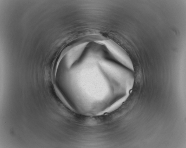 X0000113610616200910091543