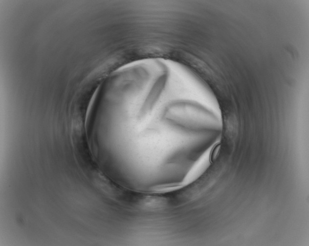 X0000113610617200910091543