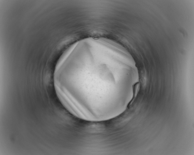 X0000113610619200910091543