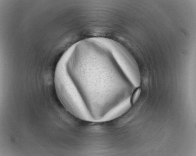 X0000113610620200910091543