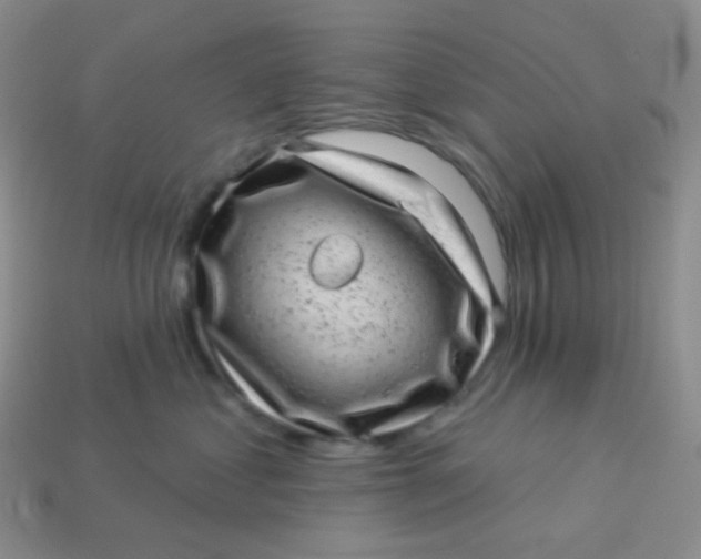 X0000113610621200910091543