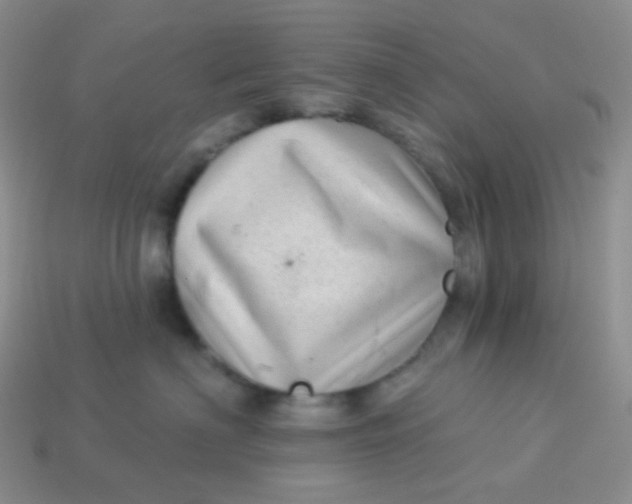 X0000113610622200910091543