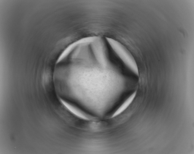 X0000113610623200910091543