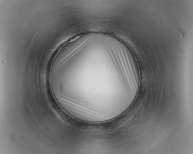 X0000113610626200910091542