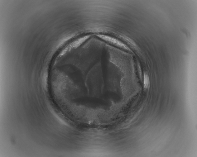 X0000113610627200910091542