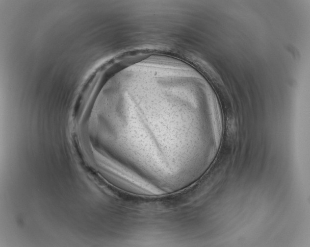 X0000113610628200910091542