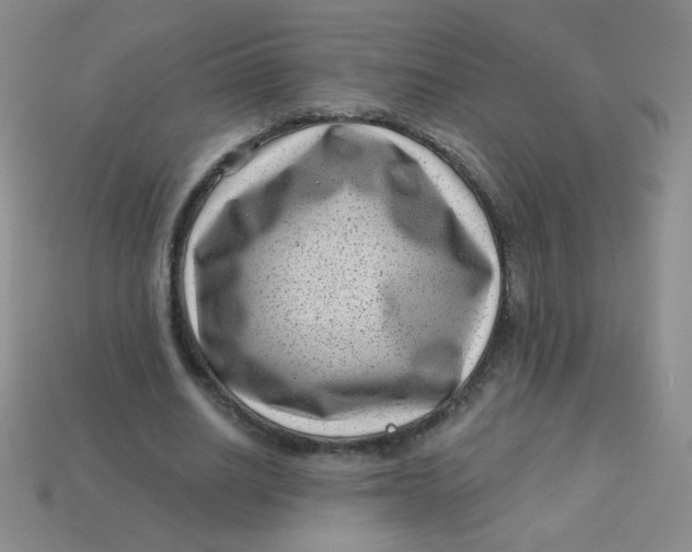 X0000113610630200910091542