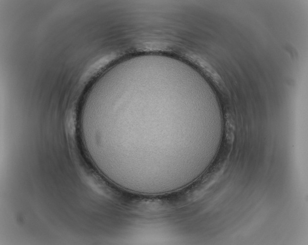 X0000113610631200910091542