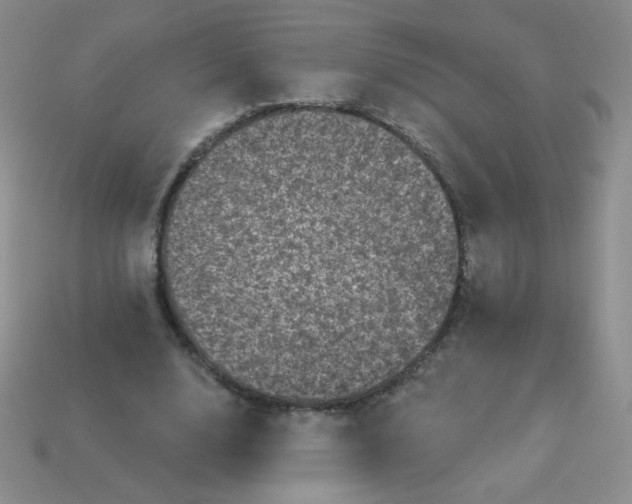 X0000113610632200910091542