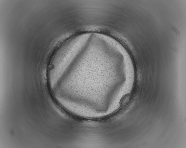 X0000113610633200910091542