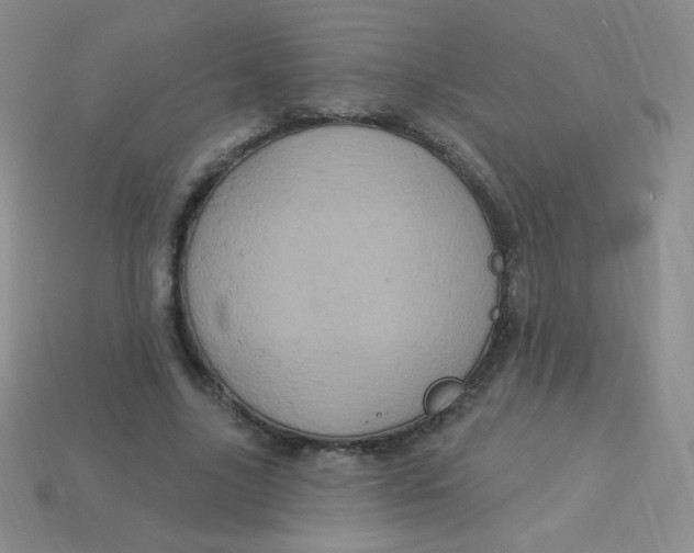 X0000113610635200910091542