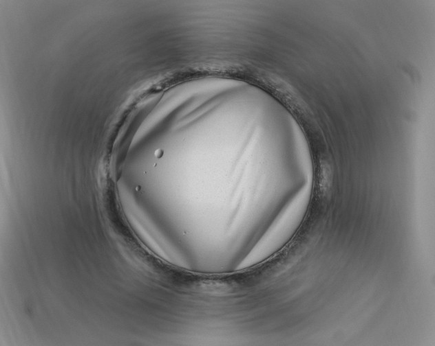 X0000113610636200910091542