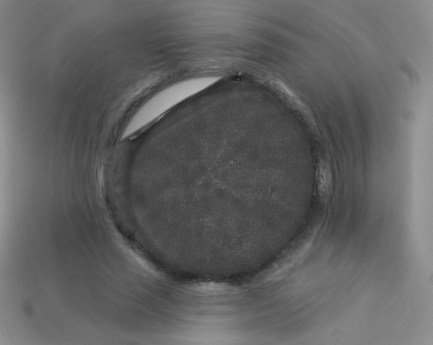 X0000113610637200910091542