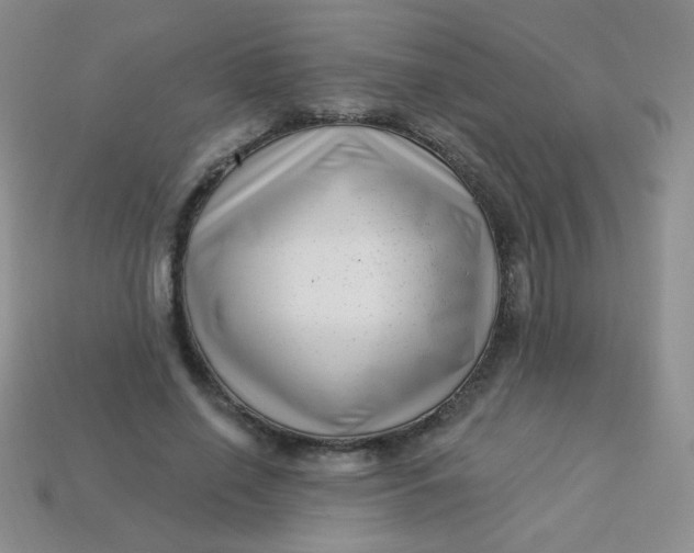 X0000113610638200910091542