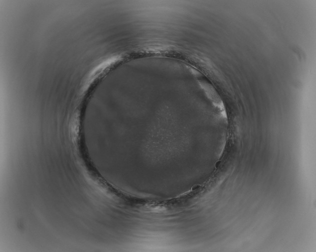 X0000113610640200910091542