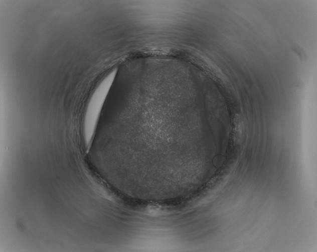 X0000113610641200910091542